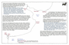 sto50 pampas_thumb.gif
